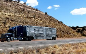 18 wheeler accident lawyers