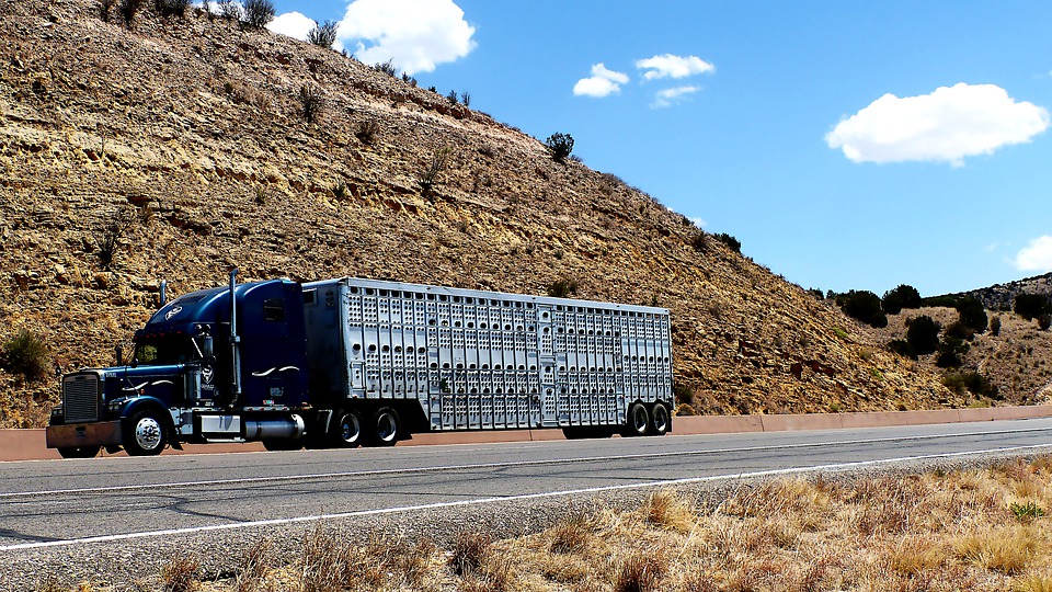 18 wheeler accident lawyers