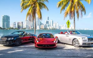 Why Should You for all the time Rent exotic cars…